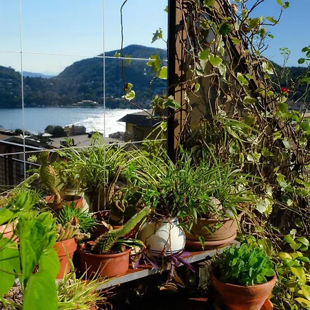 Luce Di Terrace By Quokka 360 - Amazing Terrace With And View *